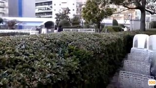 我内心深黑色的舌头的特权